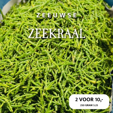 Weekaanbieding Zeeuwse zeekraal