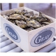 Speciales Geay Oesters